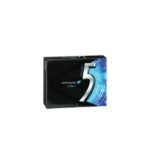 5 GUM COBALT PEPPERMINT (12PCS/PACK)