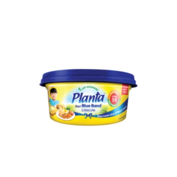 PLANTA MARGARINE (240G)