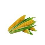 SWEET CORN (2 PCS)