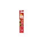 COLGATE VALUE KIDS TOOTHBRUSH (1 PIECE)