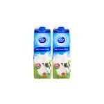 DUTCH LADY PASTEURIZED MILK TWIN PACK (2 X 1L)