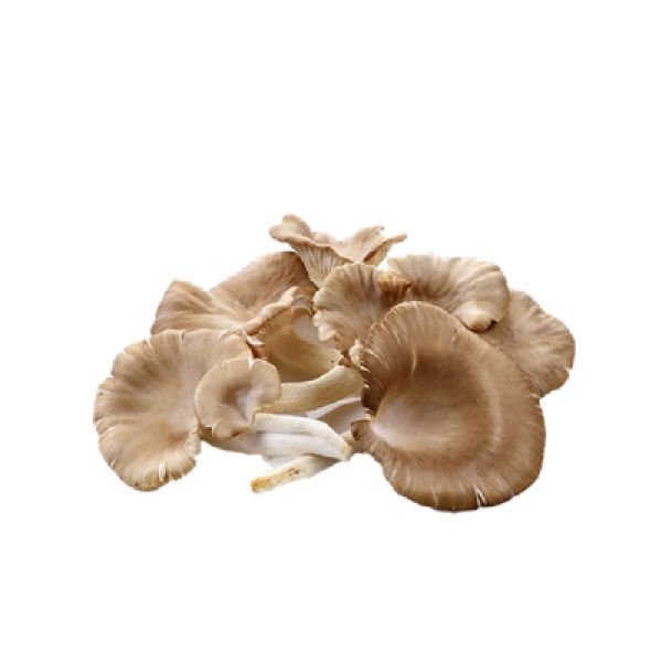 OYSTER MUSHROOMS (200G)