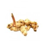 LENGKUAS (500G +/-)
