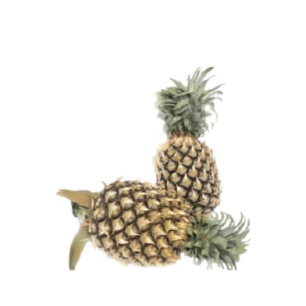 JOSEPHINE PINEAPPLE - B SIZE (1 PC)