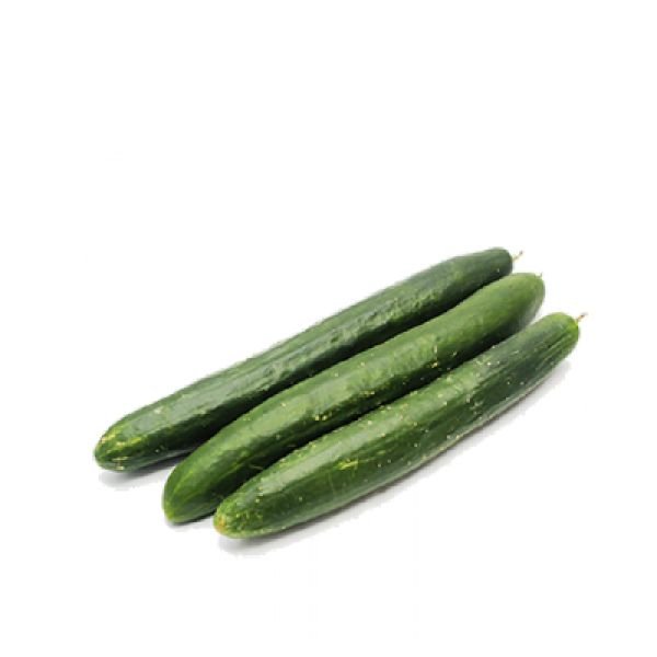 JAPANESE CUCUMBER (CLEARANCE)