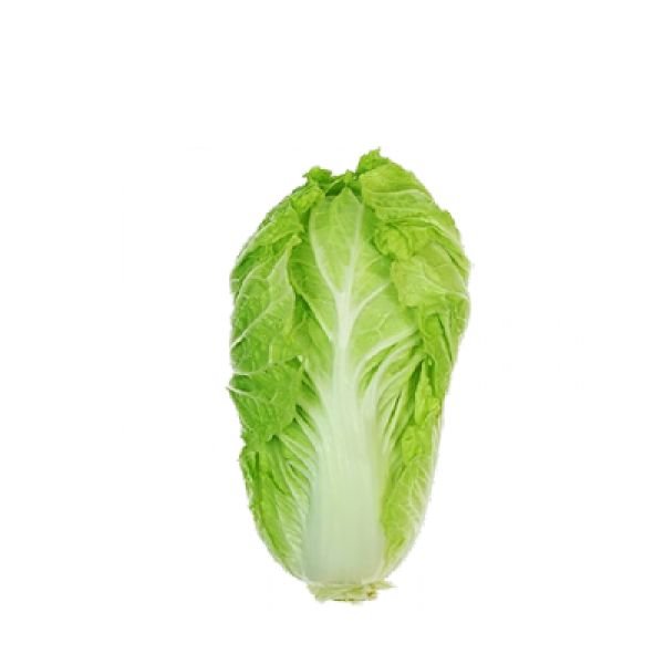 KOBIS PANJANG CINA (1.2KG +/-)