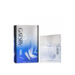 GATSBY EDT COOL 1X100ML