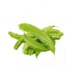 KACANG BOTOL (150G +/-)