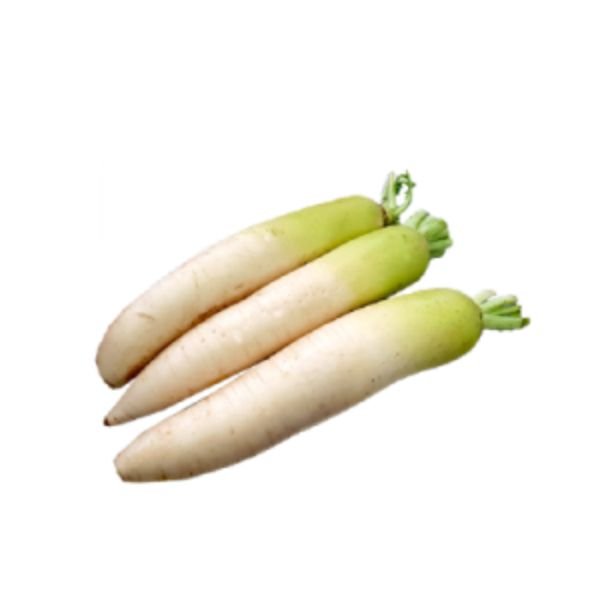 WHITE RADISH - CAMERON (1 PIECE)