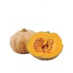 GOLDEN PUMPKIN (CLEARANCE)