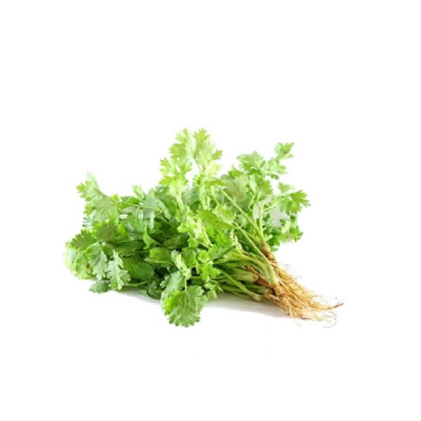 CORIANDER LEAVES - THAI (50G)