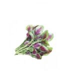 BAYAM MERAH (300G +/-)