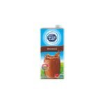 DUTCH LADY UHT CHOCOLATE MILK (1L)