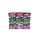 DRINHO BLACKCURRANT FRUIT DRINK PACK (6 X 250ML)