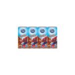 DUTCH LADY KIDS UHT CHOCOLATE MILK (4 X 180ML)