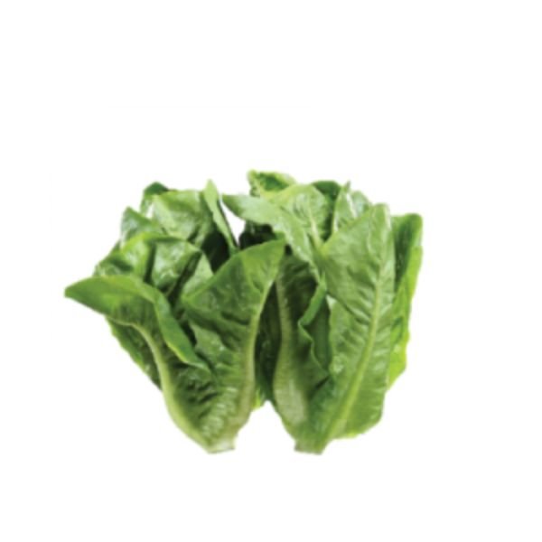 SAYUR WANGI - CAMERON (250G +/-)