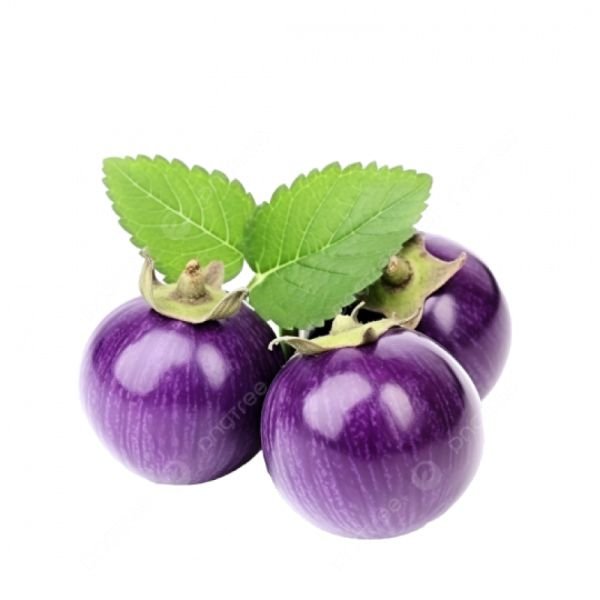 ROUND BRINJAL (500G +/-)