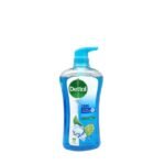 DETTOL SHW GEL COOL 1X900ML